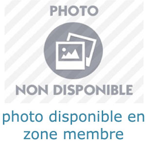 Numéro de téléphone d'une petite cochonne qui veut se faire un mec à Metz