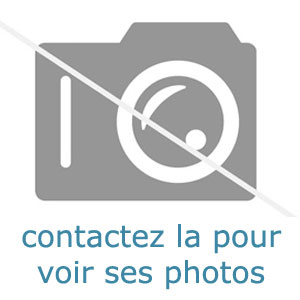 Femme voulant donner son téléphone à un homme pour une rencontre sexe sur Montauban